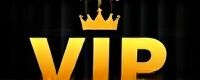 slotsgo vip